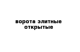 ворота элитные открытые